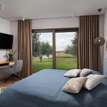 Olive Grove *