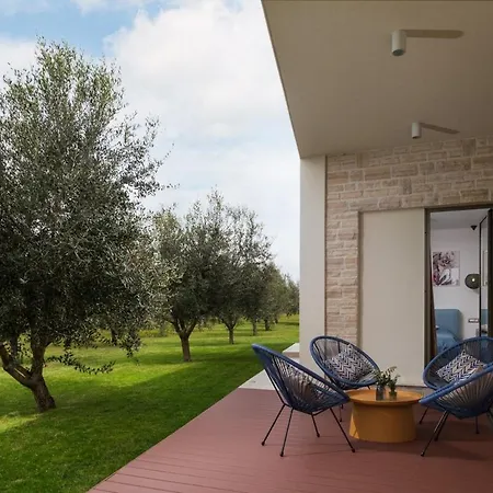 Olive Grove